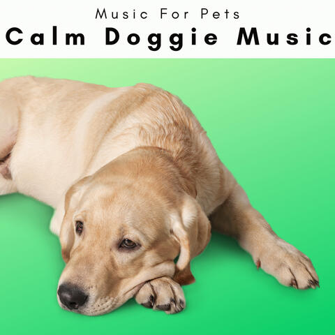 Music For Pets