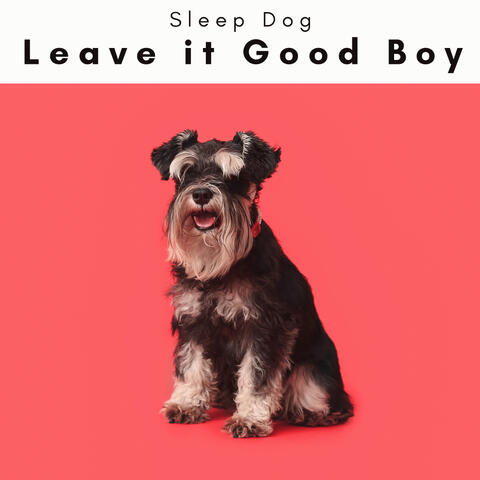 4 Paws: Leave it Good Boy