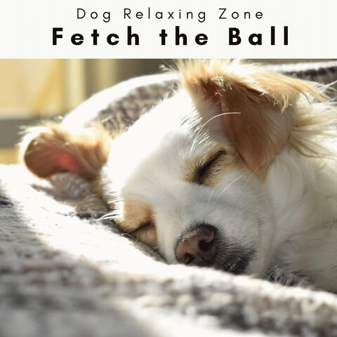 2 0 2 3 Fetch the Ball