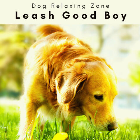 2 0 2 3 Leash Good Boy