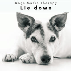 Calming Music for Beloved Doggies