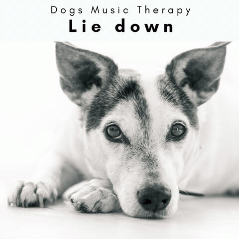4 D: Lie down