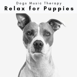 Soft Music for Loving Pup