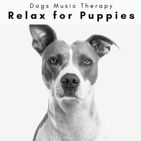 2 0 2 3 Relax for Puppies