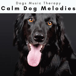 Soft Songs for Beloved Dog