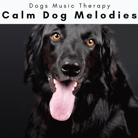 4 Dogs: Calm Dog Melodies