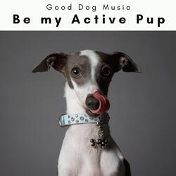 Relaxing Melodies for Cheerful Doggies