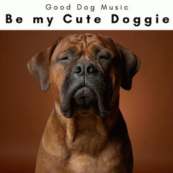 Calming Sounds for Furry Dogs