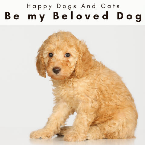 4 Paws: Be my Beloved Dog