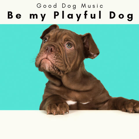 2 0 2 3 Be my Playful Dog