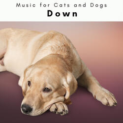 Relaxing Sounds for Beloved Pup