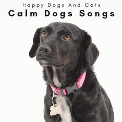 Relaxing Ambience for Active Puppy