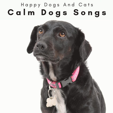 4 Paws: Calm Dogs Songs
