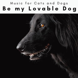 Relaxing Melodies for Clever Dog