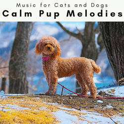 Calming Ambience for Energetic Pup
