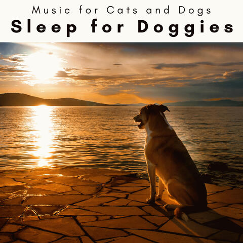 1 Sleep for Doggies
