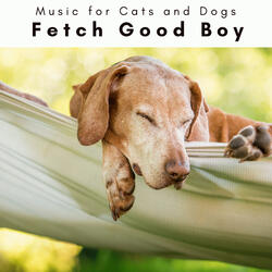 Relaxing Ambience for Courageous Puppy