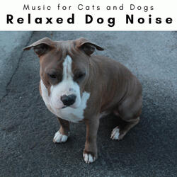 Soft Music for Wagging Doggie