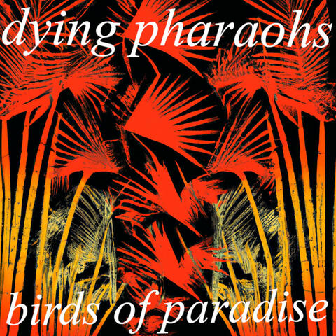Birds Of Paradise