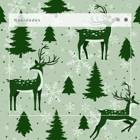 1 Navidades