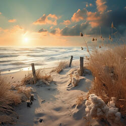 Serene Sea Study Aid