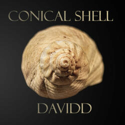 Conical Shell