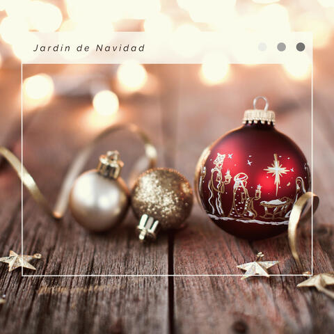 A h o r a: Jardín de Navidad