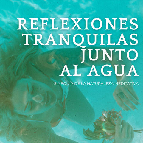 Reflexiones Tranquilas Junto Al Agua: Sinfonía De La Naturaleza Meditativa