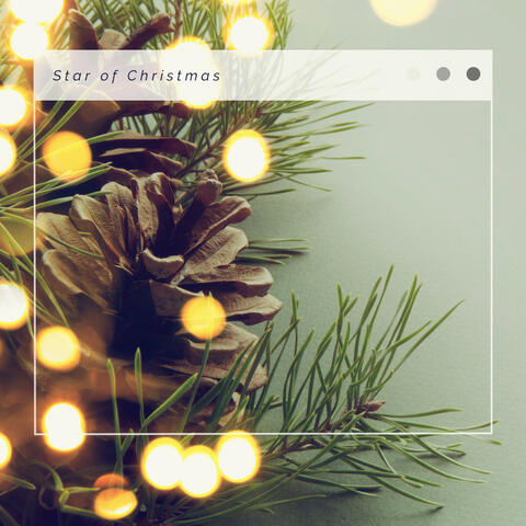 4 Christmas Star of Christmas