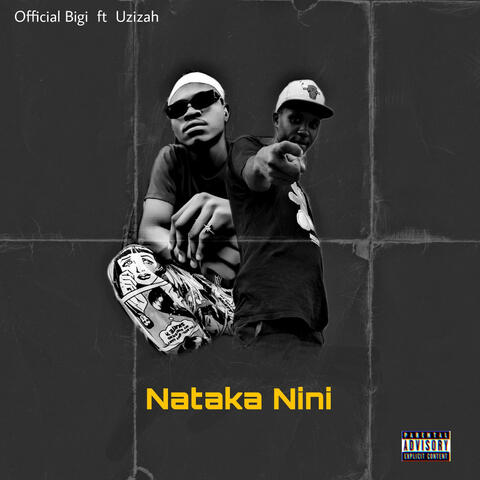 Nataka Nini