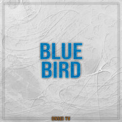 Blue Bird