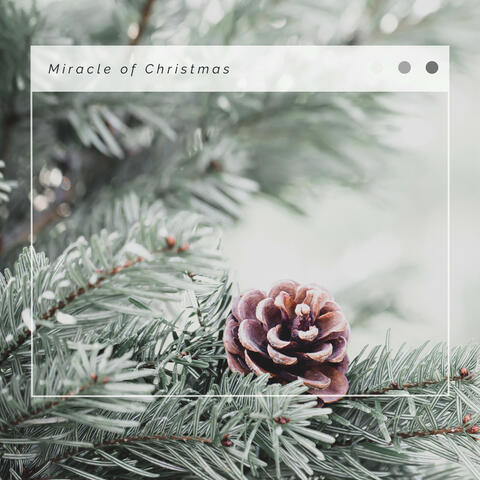 3 2 1 Christmas Miracle of Christmas