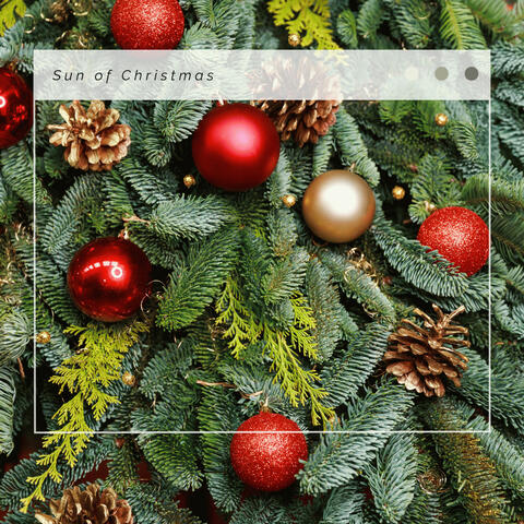 Sun of Christmas