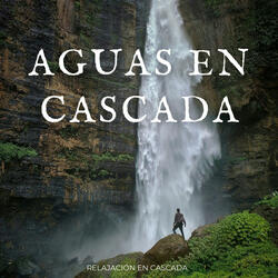 Abrazo De Las Cascadas Calmantes