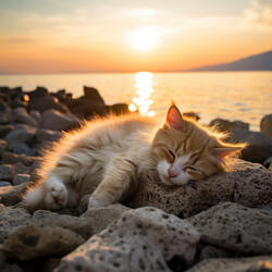 Paisajes Sonoros Serenos Para Buscadores De Siesta