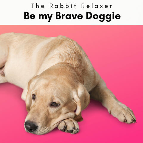 4 Paws: Be my Brave Doggie