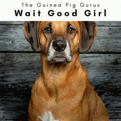 Relaxing Songs for Playful Puppy