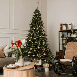having a merry little christmas