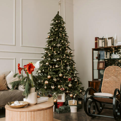 having a merry little christmas