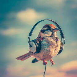 Feathered Acoustic Echo