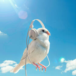 Cadence in Nature