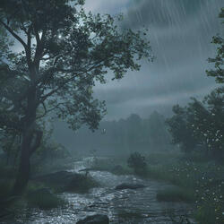 Serenity in the Rain's Continuum