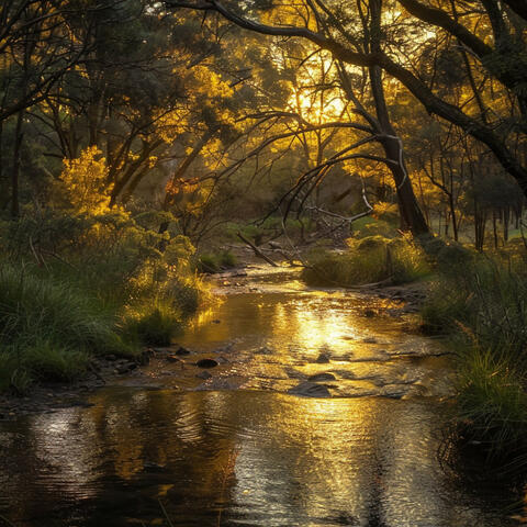 Flujo Del Río: Paisajes Sonoros Serenos Para La Calma