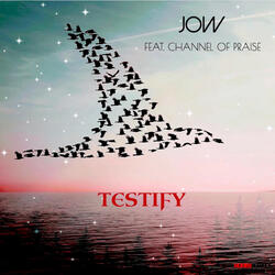 Testify