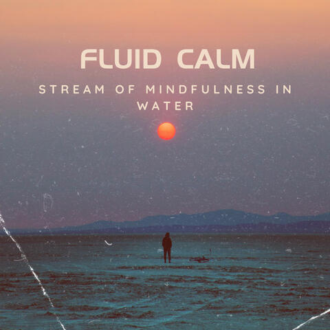 Fluid Calm: Stream of Mindfulness in Water