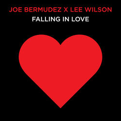 Falling In Love