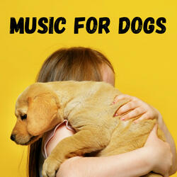 Classical Dog Music