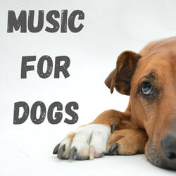 Soothing Sounds for Dogs