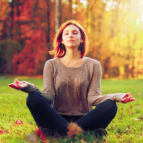 Luminous Tranquility: Lofi Meditation Auras