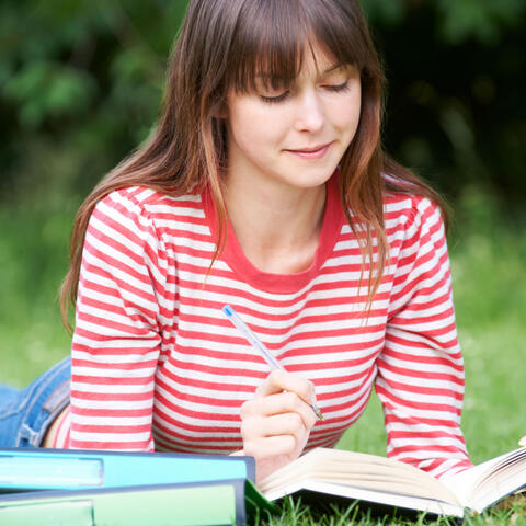 Forest Insect Reverie: Nature Sounds for Productive Study